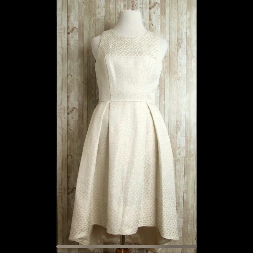 White House Black Market Ivory Gold Sleeveless Cocktail Dress High Low Size 10